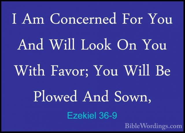 Ezekiel 36-9 - I Am Concerned For You And Will Look On You With FI Am Concerned For You And Will Look On You With Favor; You Will Be Plowed And Sown, 