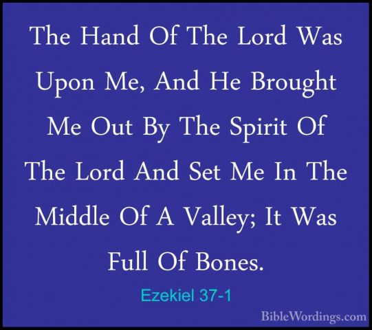 Ezekiel 37-1 - The Hand Of The Lord Was Upon Me, And He Brought MThe Hand Of The Lord Was Upon Me, And He Brought Me Out By The Spirit Of The Lord And Set Me In The Middle Of A Valley; It Was Full Of Bones. 