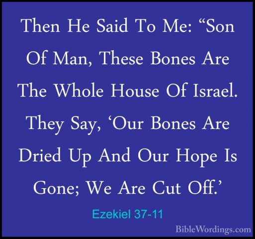 Ezekiel 37-11 - Then He Said To Me: "Son Of Man, These Bones AreThen He Said To Me: "Son Of Man, These Bones Are The Whole House Of Israel. They Say, 'Our Bones Are Dried Up And Our Hope Is Gone; We Are Cut Off.' 