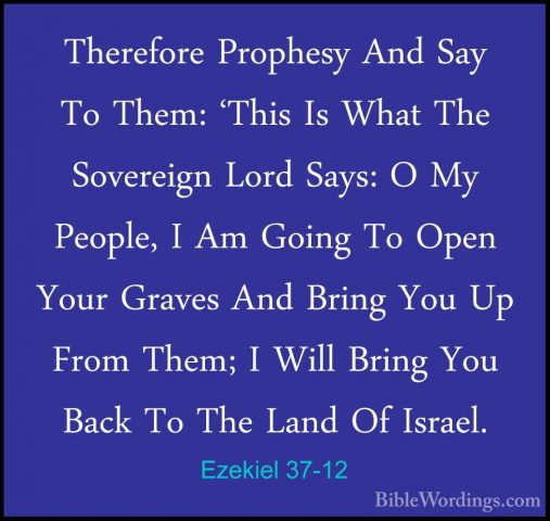 Ezekiel 37-12 - Therefore Prophesy And Say To Them: 'This Is WhatTherefore Prophesy And Say To Them: 'This Is What The Sovereign Lord Says: O My People, I Am Going To Open Your Graves And Bring You Up From Them; I Will Bring You Back To The Land Of Israel. 