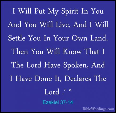 Ezekiel 37-14 - I Will Put My Spirit In You And You Will Live, AnI Will Put My Spirit In You And You Will Live, And I Will Settle You In Your Own Land. Then You Will Know That I The Lord Have Spoken, And I Have Done It, Declares The Lord .' " 