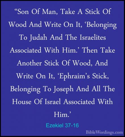 Ezekiel 37-16 - "Son Of Man, Take A Stick Of Wood And Write On It"Son Of Man, Take A Stick Of Wood And Write On It, 'Belonging To Judah And The Israelites Associated With Him.' Then Take Another Stick Of Wood, And Write On It, 'Ephraim's Stick, Belonging To Joseph And All The House Of Israel Associated With Him.' 