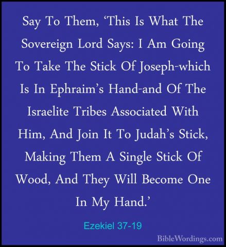 Ezekiel 37-19 - Say To Them, 'This Is What The Sovereign Lord SaySay To Them, 'This Is What The Sovereign Lord Says: I Am Going To Take The Stick Of Joseph-which Is In Ephraim's Hand-and Of The Israelite Tribes Associated With Him, And Join It To Judah's Stick, Making Them A Single Stick Of Wood, And They Will Become One In My Hand.' 