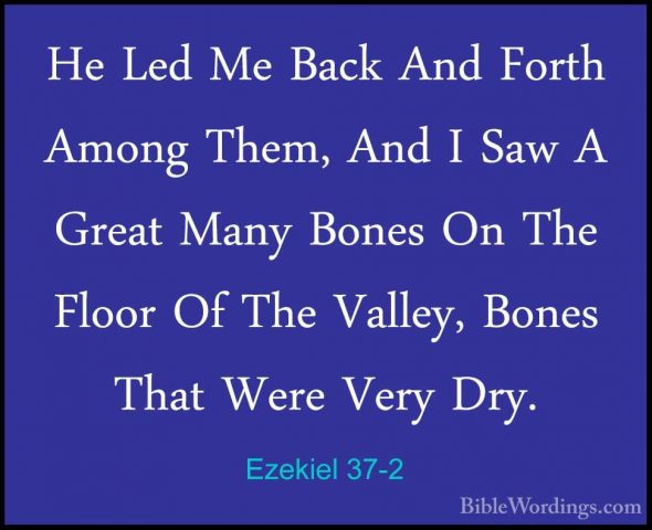 Ezekiel 37-2 - He Led Me Back And Forth Among Them, And I Saw A GHe Led Me Back And Forth Among Them, And I Saw A Great Many Bones On The Floor Of The Valley, Bones That Were Very Dry. 