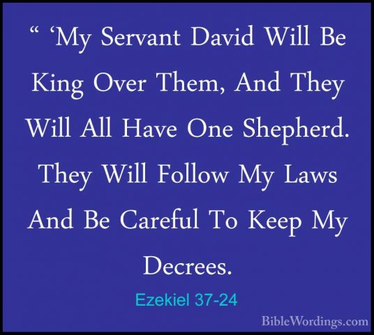 Ezekiel 37-24 - " 'My Servant David Will Be King Over Them, And T" 'My Servant David Will Be King Over Them, And They Will All Have One Shepherd. They Will Follow My Laws And Be Careful To Keep My Decrees. 