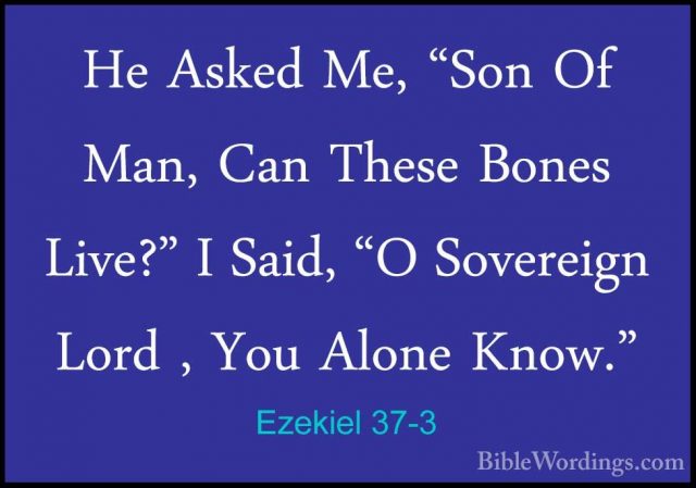 Ezekiel 37-3 - He Asked Me, "Son Of Man, Can These Bones Live?" IHe Asked Me, "Son Of Man, Can These Bones Live?" I Said, "O Sovereign Lord , You Alone Know." 