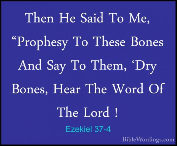 Ezekiel 37-4 - Then He Said To Me, "Prophesy To These Bones And SThen He Said To Me, "Prophesy To These Bones And Say To Them, 'Dry Bones, Hear The Word Of The Lord ! 