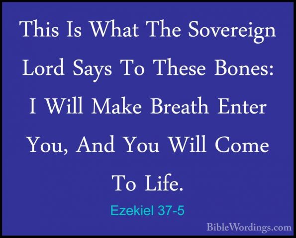 Ezekiel 37-5 - This Is What The Sovereign Lord Says To These BoneThis Is What The Sovereign Lord Says To These Bones: I Will Make Breath Enter You, And You Will Come To Life. 