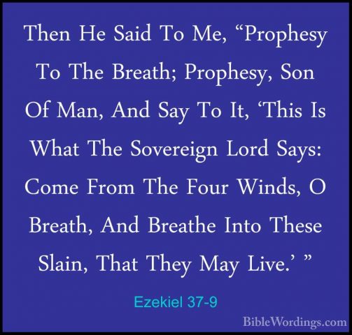 Ezekiel 37-9 - Then He Said To Me, "Prophesy To The Breath; ProphThen He Said To Me, "Prophesy To The Breath; Prophesy, Son Of Man, And Say To It, 'This Is What The Sovereign Lord Says: Come From The Four Winds, O Breath, And Breathe Into These Slain, That They May Live.' " 
