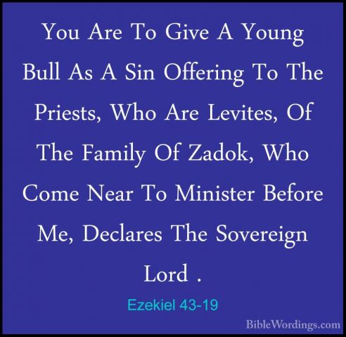 Ezekiel 43-19 - You Are To Give A Young Bull As A Sin Offering ToYou Are To Give A Young Bull As A Sin Offering To The Priests, Who Are Levites, Of The Family Of Zadok, Who Come Near To Minister Before Me, Declares The Sovereign Lord . 