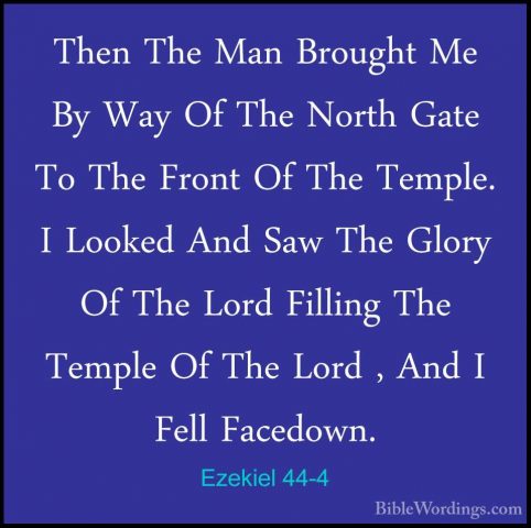 Ezekiel 44-4 - Then The Man Brought Me By Way Of The North Gate TThen The Man Brought Me By Way Of The North Gate To The Front Of The Temple. I Looked And Saw The Glory Of The Lord Filling The Temple Of The Lord , And I Fell Facedown. 