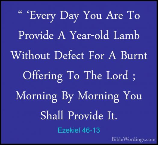 Ezekiel 46-13 - " 'Every Day You Are To Provide A Year-old Lamb W" 'Every Day You Are To Provide A Year-old Lamb Without Defect For A Burnt Offering To The Lord ; Morning By Morning You Shall Provide It. 