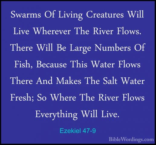 Ezekiel 47-9 - Swarms Of Living Creatures Will Live Wherever TheSwarms Of Living Creatures Will Live Wherever The River Flows. There Will Be Large Numbers Of Fish, Because This Water Flows There And Makes The Salt Water Fresh; So Where The River Flows Everything Will Live. 