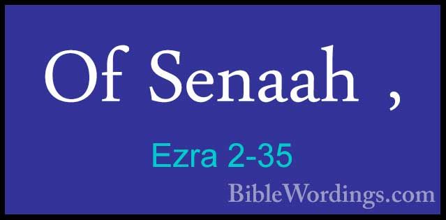 Ezra 2-35 - Of Senaah ,Of Senaah , 