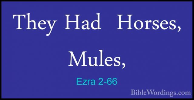 Ezra 2-66 - They Had  Horses,  Mules,They Had  Horses,  Mules, 