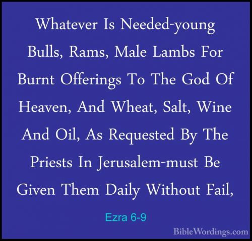Ezra 6-9 - Whatever Is Needed-young Bulls, Rams, Male Lambs For BWhatever Is Needed-young Bulls, Rams, Male Lambs For Burnt Offerings To The God Of Heaven, And Wheat, Salt, Wine And Oil, As Requested By The Priests In Jerusalem-must Be Given Them Daily Without Fail, 