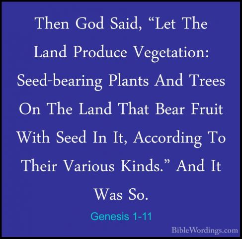 Genesis 1-11 - Then God Said, "Let The Land Produce Vegetation: SThen God Said, "Let The Land Produce Vegetation: Seed-bearing Plants And Trees On The Land That Bear Fruit With Seed In It, According To Their Various Kinds." And It Was So. 