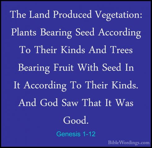 Genesis 1-12 - The Land Produced Vegetation: Plants Bearing SeedThe Land Produced Vegetation: Plants Bearing Seed According To Their Kinds And Trees Bearing Fruit With Seed In It According To Their Kinds. And God Saw That It Was Good. 