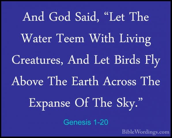 Genesis 1-20 - And God Said, "Let The Water Teem With Living CreaAnd God Said, "Let The Water Teem With Living Creatures, And Let Birds Fly Above The Earth Across The Expanse Of The Sky." 