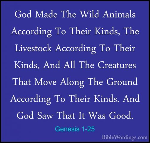 Genesis 1-25 - God Made The Wild Animals According To Their KindsGod Made The Wild Animals According To Their Kinds, The Livestock According To Their Kinds, And All The Creatures That Move Along The Ground According To Their Kinds. And God Saw That It Was Good. 