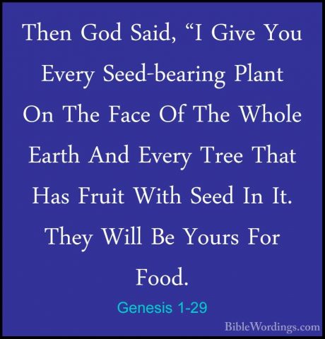 Genesis 1-29 - Then God Said, "I Give You Every Seed-bearing PlanThen God Said, "I Give You Every Seed-bearing Plant On The Face Of The Whole Earth And Every Tree That Has Fruit With Seed In It. They Will Be Yours For Food. 