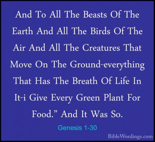 Genesis 1-30 - And To All The Beasts Of The Earth And All The BirAnd To All The Beasts Of The Earth And All The Birds Of The Air And All The Creatures That Move On The Ground-everything That Has The Breath Of Life In It-i Give Every Green Plant For Food." And It Was So. 