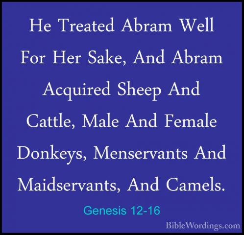Genesis 12-16 - He Treated Abram Well For Her Sake, And Abram AcqHe Treated Abram Well For Her Sake, And Abram Acquired Sheep And Cattle, Male And Female Donkeys, Menservants And Maidservants, And Camels. 
