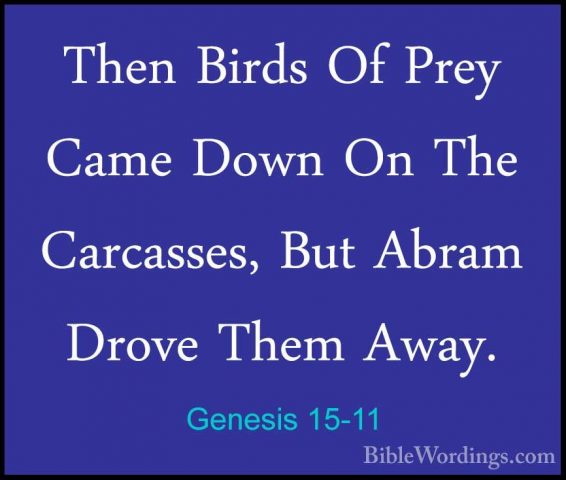 Genesis 15-11 - Then Birds Of Prey Came Down On The Carcasses, BuThen Birds Of Prey Came Down On The Carcasses, But Abram Drove Them Away. 
