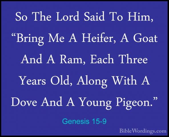 Genesis 15-9 - So The Lord Said To Him, "Bring Me A Heifer, A GoaSo The Lord Said To Him, "Bring Me A Heifer, A Goat And A Ram, Each Three Years Old, Along With A Dove And A Young Pigeon." 