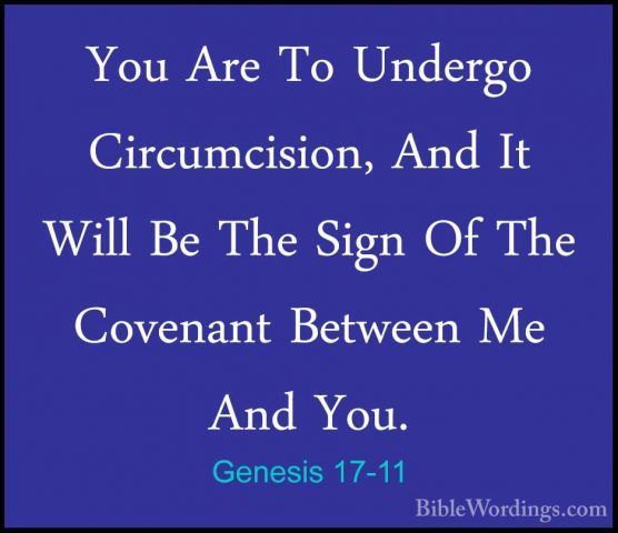 Genesis 17-11 - You Are To Undergo Circumcision, And It Will Be TYou Are To Undergo Circumcision, And It Will Be The Sign Of The Covenant Between Me And You. 