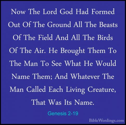 Genesis 2-19 - Now The Lord God Had Formed Out Of The Ground AllNow The Lord God Had Formed Out Of The Ground All The Beasts Of The Field And All The Birds Of The Air. He Brought Them To The Man To See What He Would Name Them; And Whatever The Man Called Each Living Creature, That Was Its Name. 