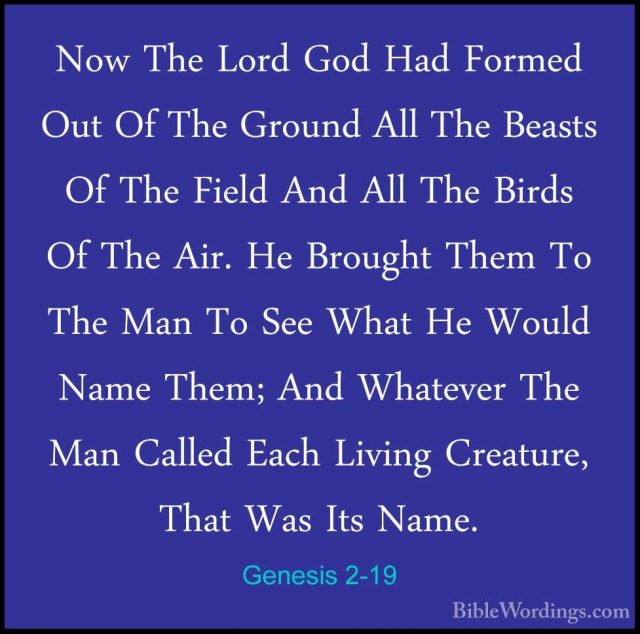 Genesis 2 - Holy Bible English - BibleWordings.com