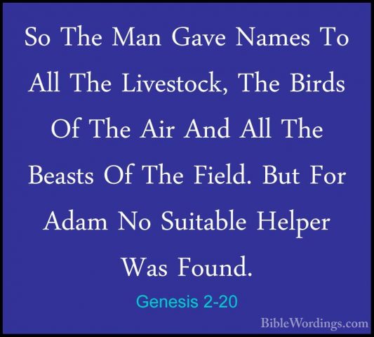 Genesis 2-20 - So The Man Gave Names To All The Livestock, The BiSo The Man Gave Names To All The Livestock, The Birds Of The Air And All The Beasts Of The Field. But For Adam No Suitable Helper Was Found. 