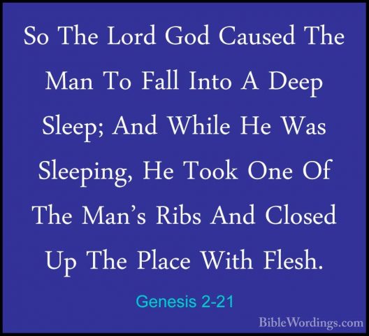 Genesis 2-21 - So The Lord God Caused The Man To Fall Into A DeepSo The Lord God Caused The Man To Fall Into A Deep Sleep; And While He Was Sleeping, He Took One Of The Man's Ribs And Closed Up The Place With Flesh. 