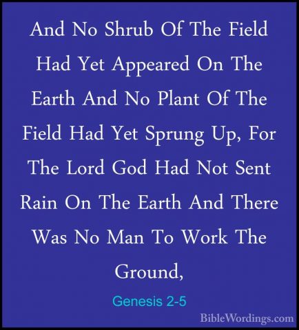 Genesis 2-5 - And No Shrub Of The Field Had Yet Appeared On The EAnd No Shrub Of The Field Had Yet Appeared On The Earth And No Plant Of The Field Had Yet Sprung Up, For The Lord God Had Not Sent Rain On The Earth And There Was No Man To Work The Ground, 