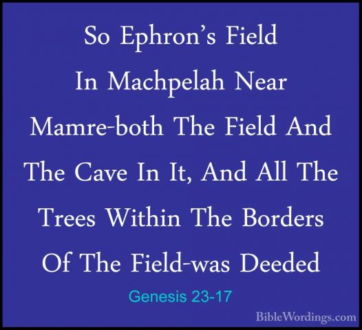 Genesis 23-17 - So Ephron's Field In Machpelah Near Mamre-both ThSo Ephron's Field In Machpelah Near Mamre-both The Field And The Cave In It, And All The Trees Within The Borders Of The Field-was Deeded 