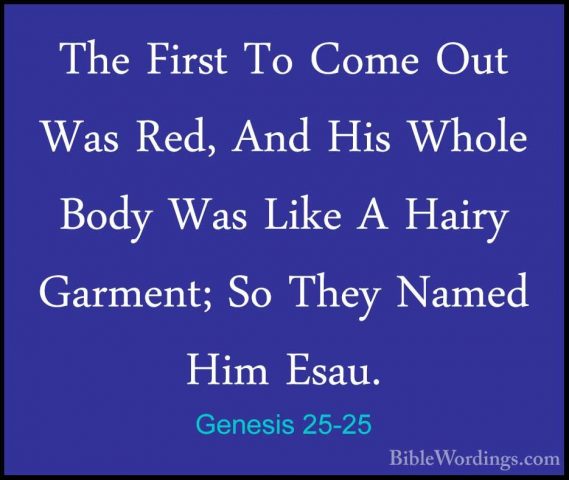 Genesis 25-25 - The First To Come Out Was Red, And His Whole BodyThe First To Come Out Was Red, And His Whole Body Was Like A Hairy Garment; So They Named Him Esau. 