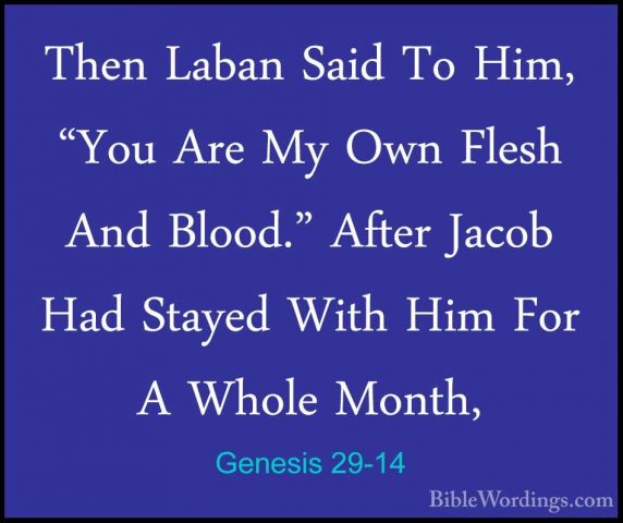 Genesis 29-14 - Then Laban Said To Him, "You Are My Own Flesh AndThen Laban Said To Him, "You Are My Own Flesh And Blood." After Jacob Had Stayed With Him For A Whole Month, 