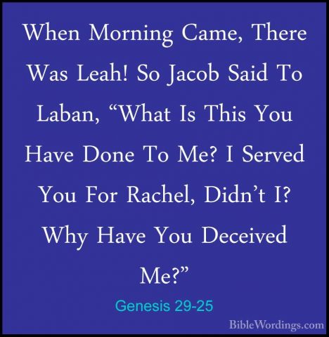 Genesis 29-25 - When Morning Came, There Was Leah! So Jacob SaidWhen Morning Came, There Was Leah! So Jacob Said To Laban, "What Is This You Have Done To Me? I Served You For Rachel, Didn't I? Why Have You Deceived Me?" 