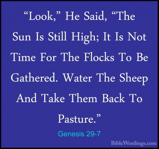 Genesis 29-7 - "Look," He Said, "The Sun Is Still High; It Is Not"Look," He Said, "The Sun Is Still High; It Is Not Time For The Flocks To Be Gathered. Water The Sheep And Take Them Back To Pasture." 