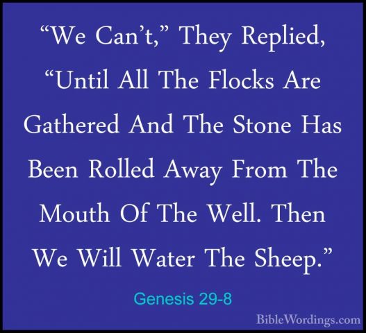 Genesis 29-8 - "We Can't," They Replied, "Until All The Flocks Ar"We Can't," They Replied, "Until All The Flocks Are Gathered And The Stone Has Been Rolled Away From The Mouth Of The Well. Then We Will Water The Sheep." 