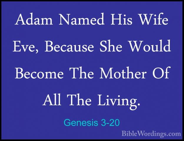 Genesis 3-20 - Adam Named His Wife Eve, Because She Would BecomeAdam Named His Wife Eve, Because She Would Become The Mother Of All The Living. 