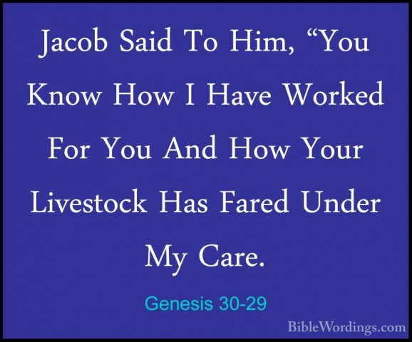 Genesis 30-29 - Jacob Said To Him, "You Know How I Have Worked FoJacob Said To Him, "You Know How I Have Worked For You And How Your Livestock Has Fared Under My Care. 