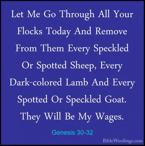 Genesis 30-32 - Let Me Go Through All Your Flocks Today And RemovLet Me Go Through All Your Flocks Today And Remove From Them Every Speckled Or Spotted Sheep, Every Dark-colored Lamb And Every Spotted Or Speckled Goat. They Will Be My Wages. 