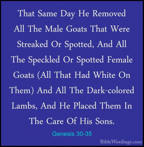 Genesis 30-35 - That Same Day He Removed All The Male Goats ThatThat Same Day He Removed All The Male Goats That Were Streaked Or Spotted, And All The Speckled Or Spotted Female Goats (All That Had White On Them) And All The Dark-colored Lambs, And He Placed Them In The Care Of His Sons. 