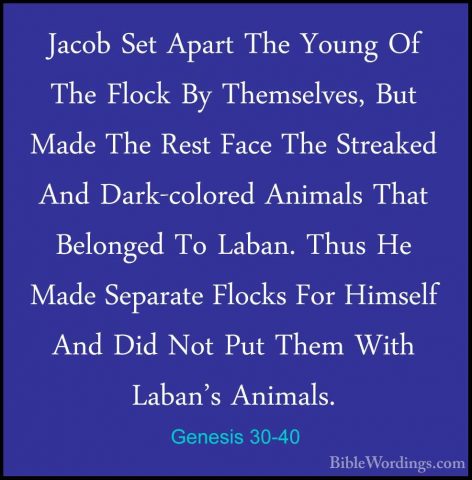 Genesis 30-40 - Jacob Set Apart The Young Of The Flock By ThemselJacob Set Apart The Young Of The Flock By Themselves, But Made The Rest Face The Streaked And Dark-colored Animals That Belonged To Laban. Thus He Made Separate Flocks For Himself And Did Not Put Them With Laban's Animals. 