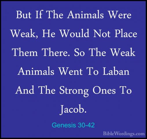 Genesis 30-42 - But If The Animals Were Weak, He Would Not PlaceBut If The Animals Were Weak, He Would Not Place Them There. So The Weak Animals Went To Laban And The Strong Ones To Jacob. 