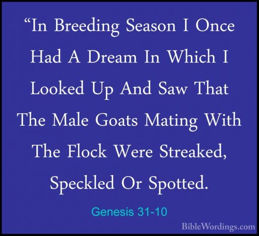 Genesis 31-10 - "In Breeding Season I Once Had A Dream In Which I"In Breeding Season I Once Had A Dream In Which I Looked Up And Saw That The Male Goats Mating With The Flock Were Streaked, Speckled Or Spotted. 