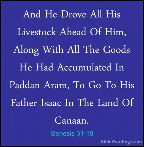 Genesis 31-18 - And He Drove All His Livestock Ahead Of Him, AlonAnd He Drove All His Livestock Ahead Of Him, Along With All The Goods He Had Accumulated In Paddan Aram, To Go To His Father Isaac In The Land Of Canaan. 