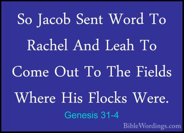 Genesis 31-4 - So Jacob Sent Word To Rachel And Leah To Come OutSo Jacob Sent Word To Rachel And Leah To Come Out To The Fields Where His Flocks Were. 